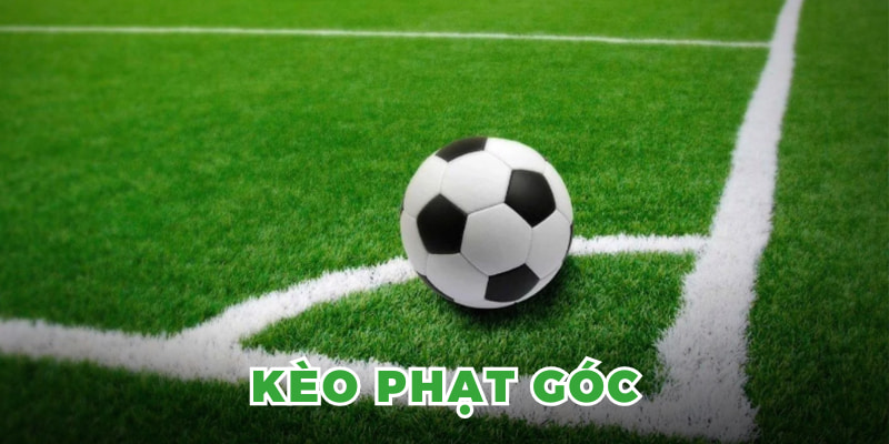 Kinh nghiệm soi kèo từ các cao thủ